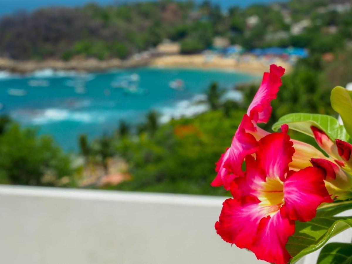 Hotel Casa Cascada - Adults Only Puerto Escondido  Exteriér fotografie